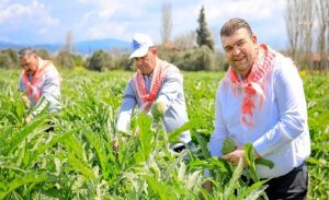 Seferihisar’ın yüzü tarımla gülüyor!