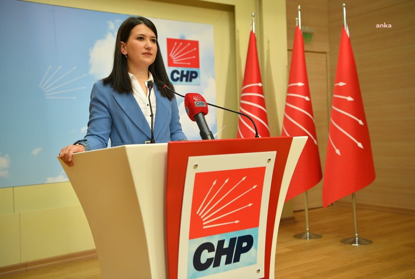 CHP GENEL BAŞKAN YARDIMCISI