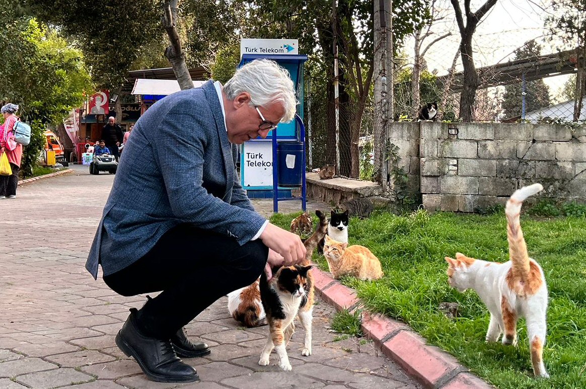 Cumhur İttifakı Buca Belediye