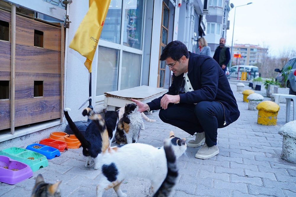 Cumhur İttifakı Bayraklı Belediye