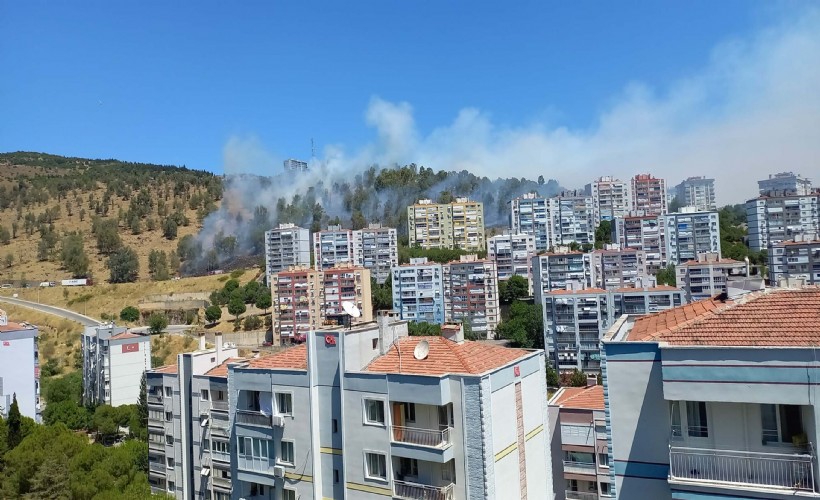 İzmir’in Aliağa ilçesindeki ormanda