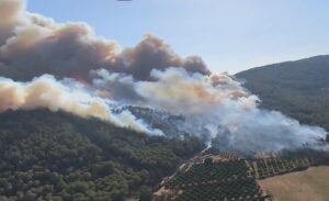 İzmir’deki orman yangınına ilişkin 1 zanlı tutuklandı