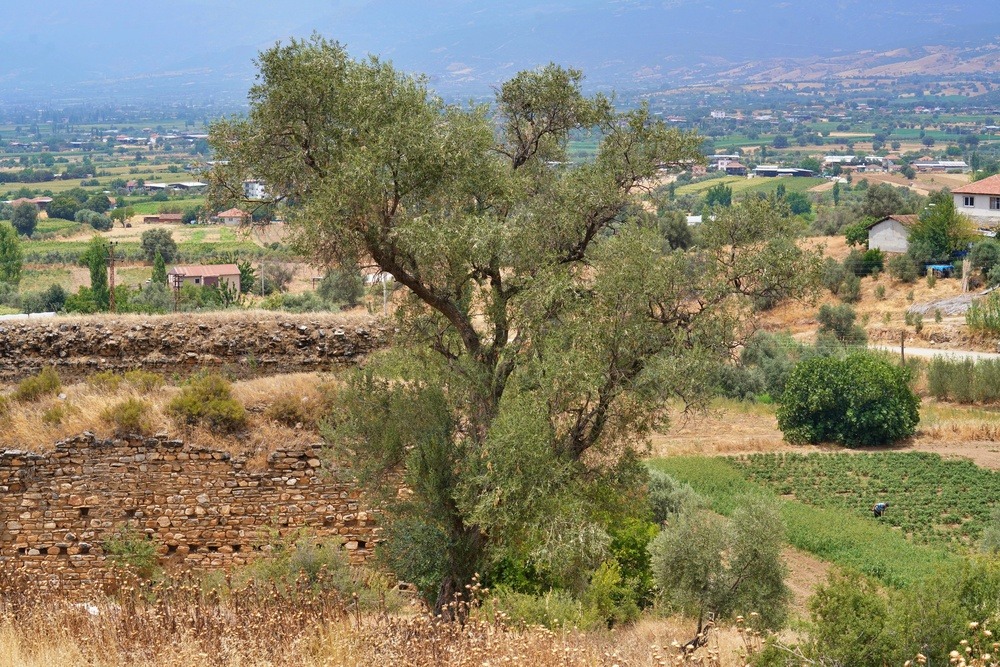 İzmir’de kırsal alanın korunması