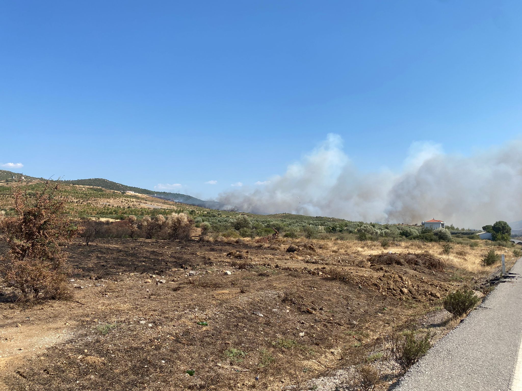 Yenifoça Jandarma Komando Teröristle Mücadele Okul Komutanlığı bölgesi yanıyor!