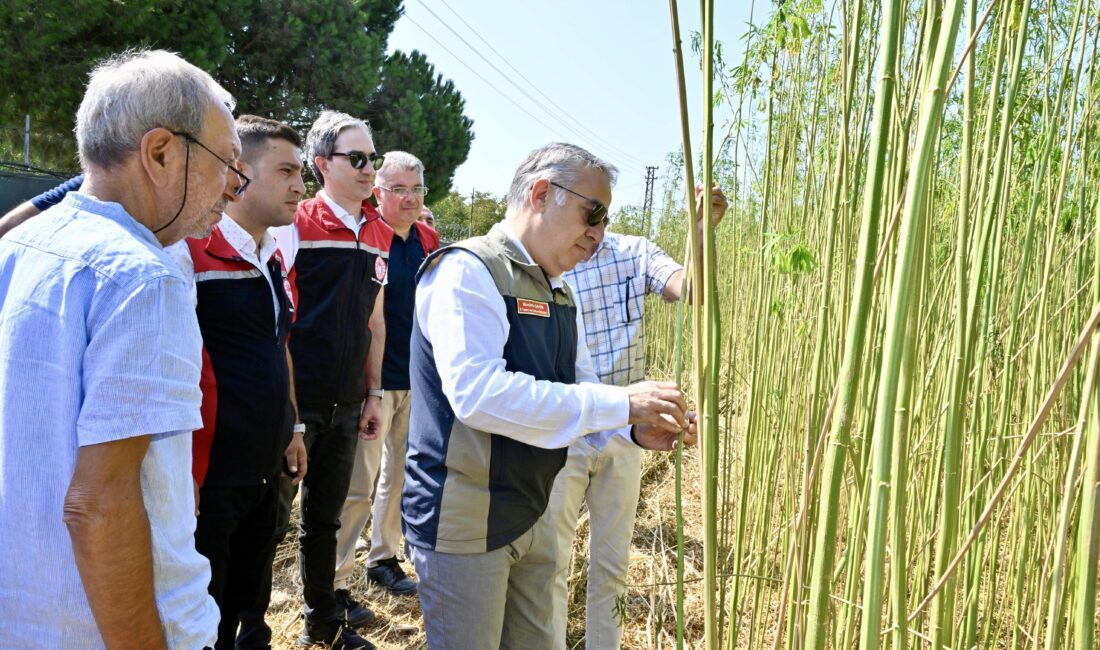 İzmir’in Aliağa ilçesine bağlı