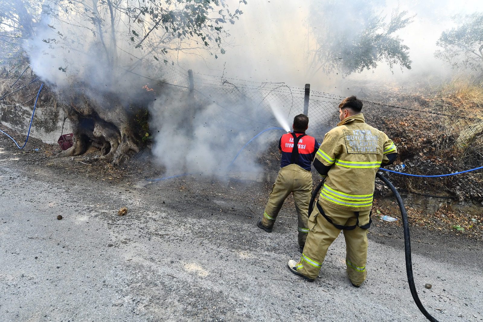 İzmir İtfaiyesi 4 günde 249 yangına müdahale etti 