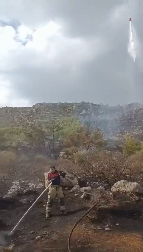 İki ilçede çıkan yangınlara İzmir İtfaiyesi’nden hızlı müdahale