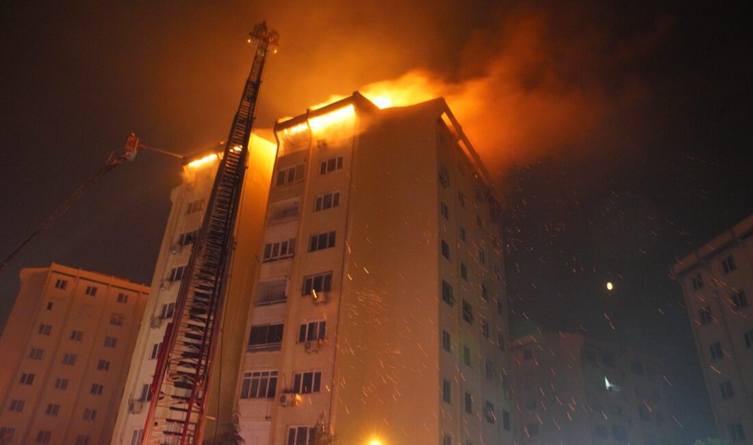 İzmir Büyükşehir Belediyesi, Yamanlar