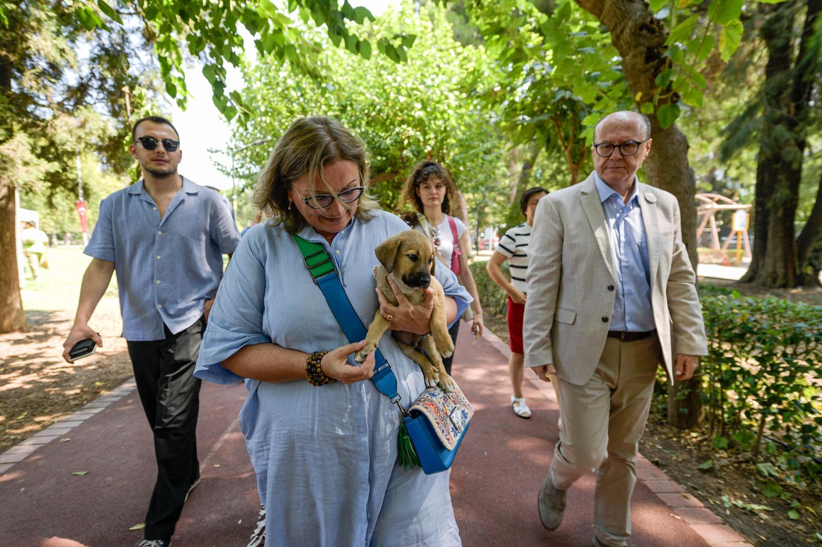 Sahipsiz Köpek Popülasyonu Yönetimi İzmir Eylem Planı hazırlandı