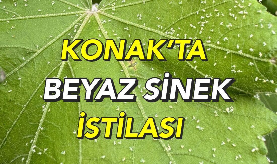 AK Parti Konak İlçe