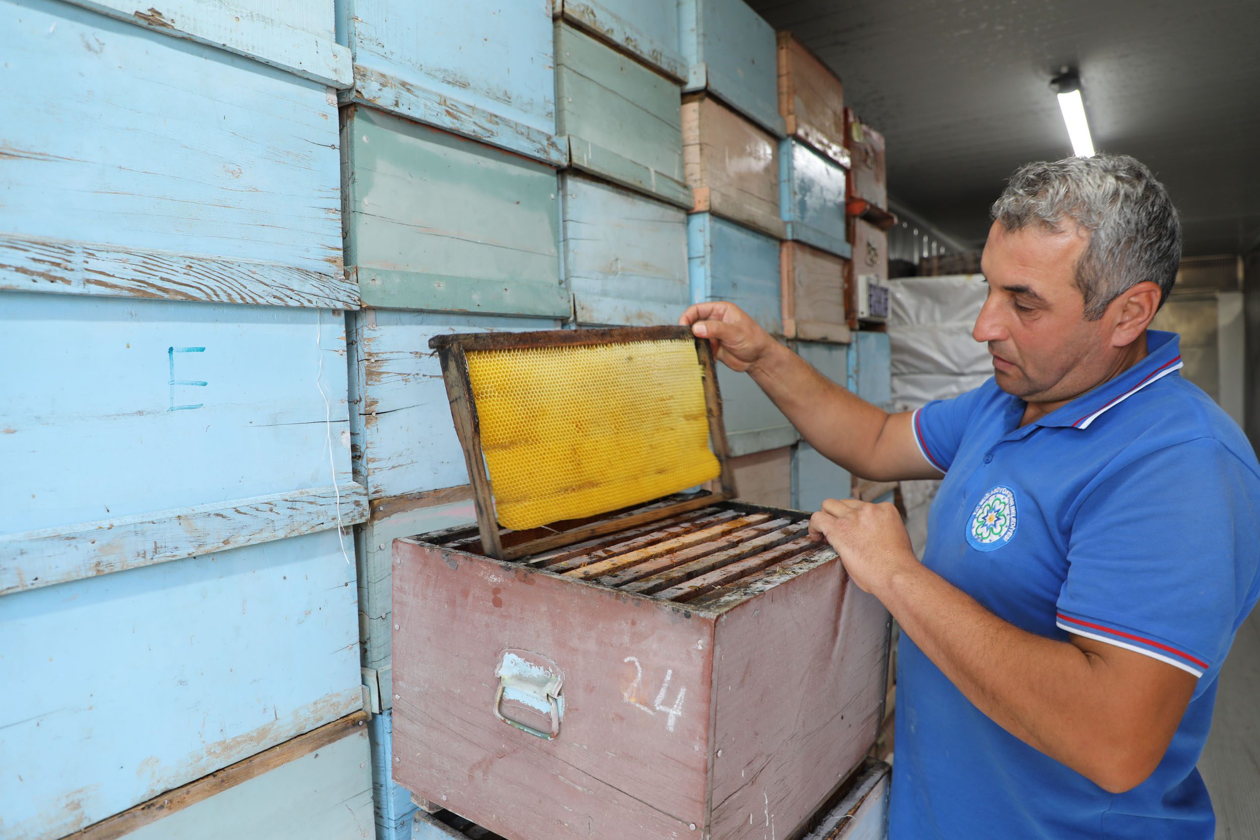 Yerel yönetimler arasında bir ilk: Temiz Petek Projesi