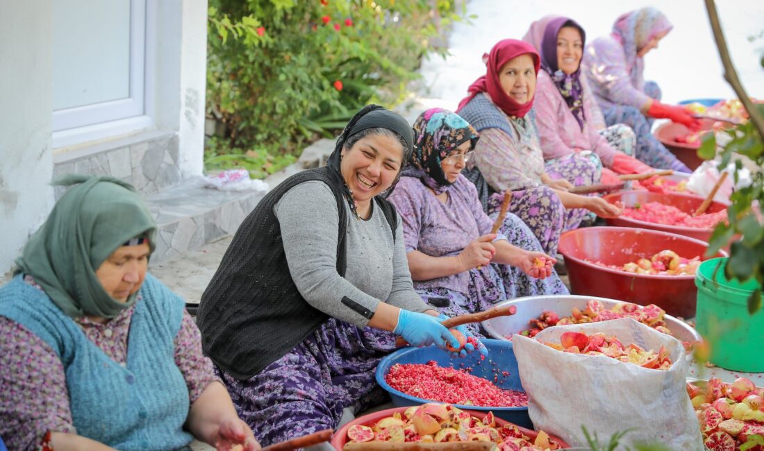 Narı ve nar ekşisiyle