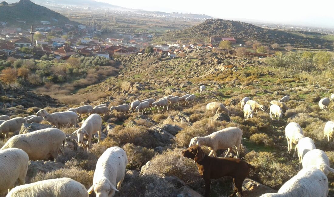 Menemen’de Mera arazisi imara mı açılacak?