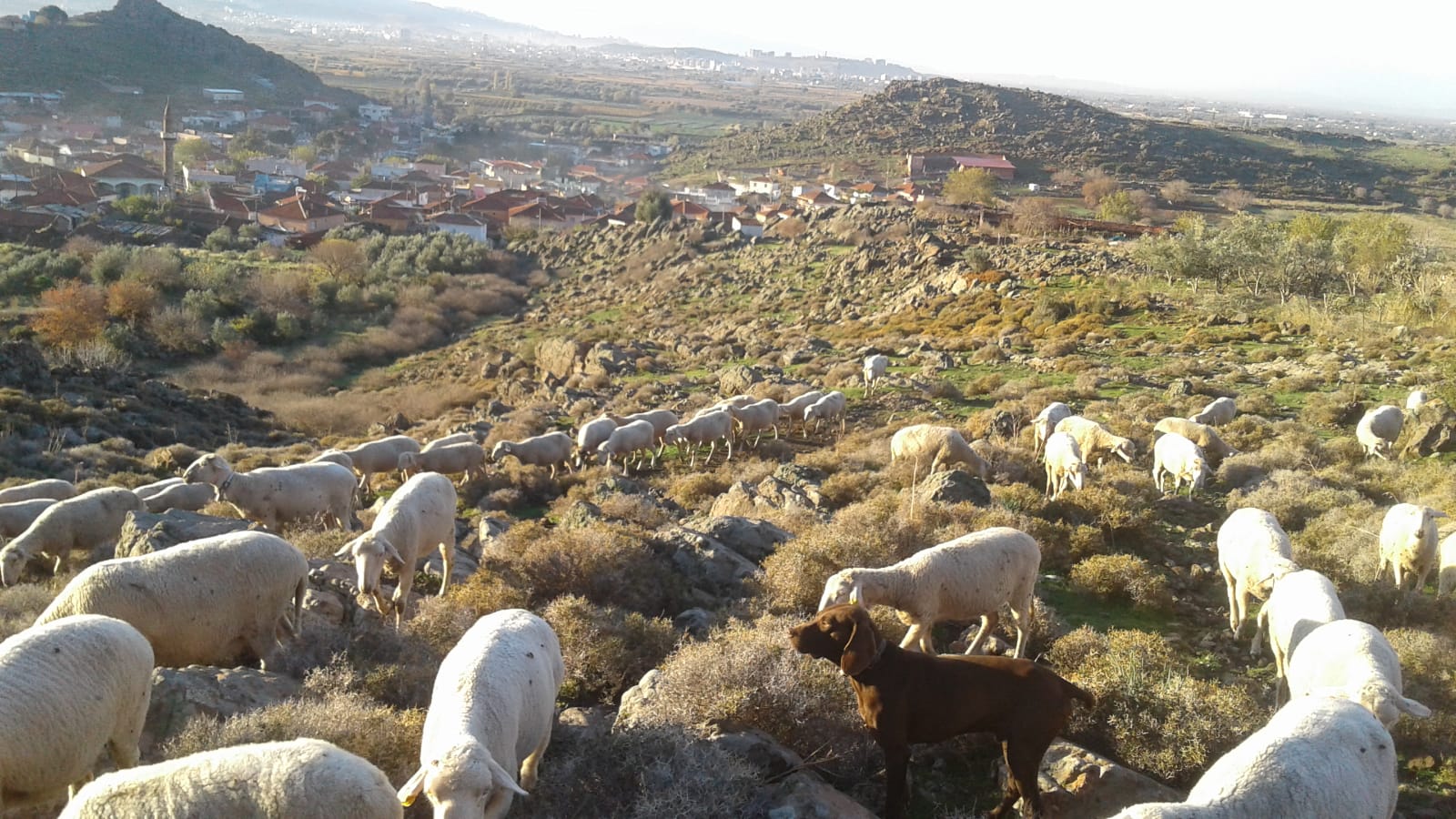 Menemen’de Mera arazisi imara mı açılacak?