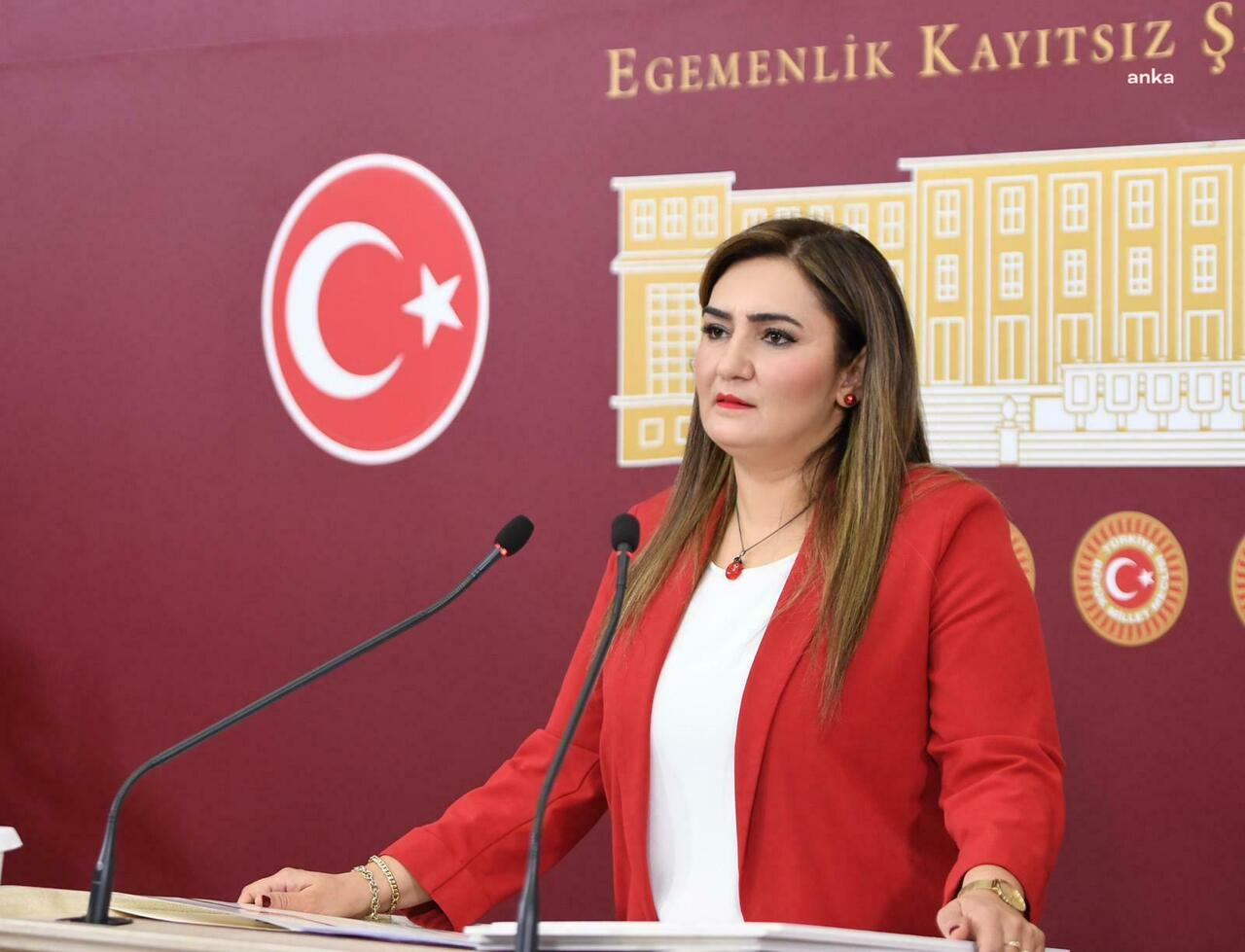 CHP İzmir Milletvekili Sevda Erdan Kılıç, “Siyasal Alevicilik” ifadelerine tepki