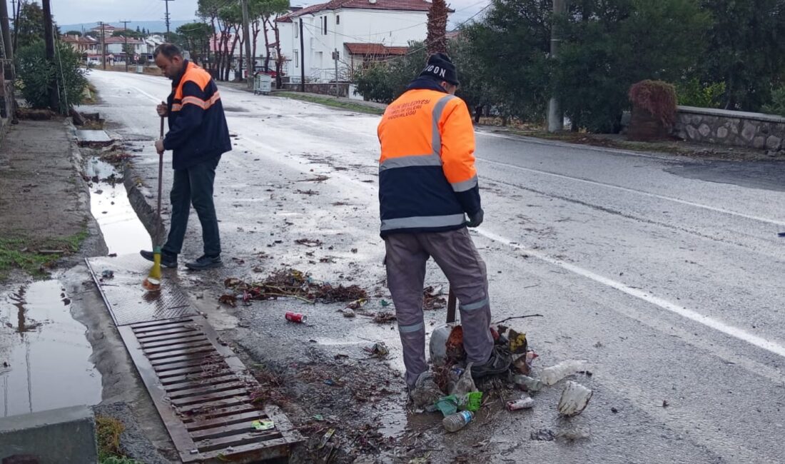 Körfez bölgesi ve Ayvalık’ta