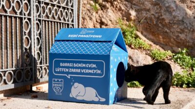 Çeşme Belediyesi, kolay kurulumlu kedi evleri ile sokaktaki minik dostların