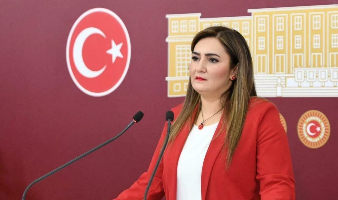 CHP’Lİ SEVDA ERDAN KILIÇ, ROJİN’İN ÖLÜMÜNDEKİ İHMALLER ZİNCİRİNİ MECLİS GÜNDEMİNE TAŞIDI: DÖRT BAKANLIK SUS PUS!