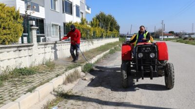 Menderes Belediyesi, baharın gelmesi ile artan yabancı otlara karşı ilaçlama