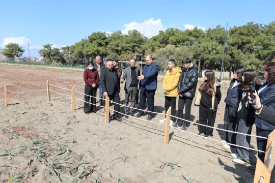 Menderes Belediyesi, Gümüldür ve Özdere sahillerinde yetişen nadir bir çiçek